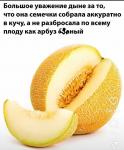 IMG-20250330-WA0008.jpg