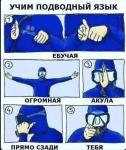 жесты.jpg