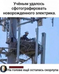 1.png