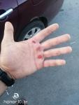 IMG_20210613_083415.jpg