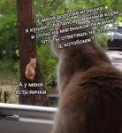 IMG_20241101_200538.jpg