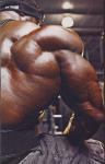 39ae2_Joel_Stubbs_backa.JPG