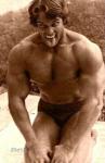 arnold_3.jpg