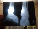 SDC10572.JPG