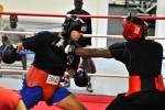 09_THF_SPARING_102.jpg
