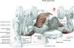 _____________2.jpg