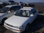 toyota_corolla_11118.jpg