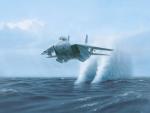F_14_Tomcat_1_.jpg