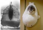 subcat2rk7.jpg