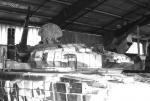 01_BMPT_prot2.jpg