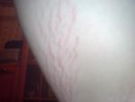 DSC00479.JPG