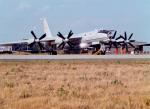 tu95_8.jpg