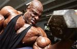 bicepslarge.jpg