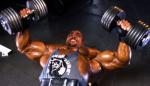 5031_dennis_lg.jpg