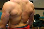 back.jpg