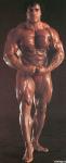 body_builder_02.jpg