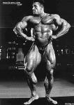 body_builder_05.jpg