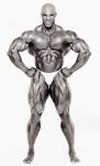 Ronnie_Coleman_photo329.jpg