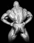 Ronnie_Coleman_photo380.jpg