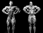 Ronnie_Coleman_photo619.jpg