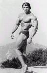 Arnold_20Schwarzenegger_13340.jpg
