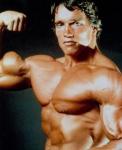 Arnold_Schwarzenegger.jpg