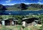 crysis_comparison.jpg