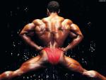 Flex_Wheeler_10.jpg