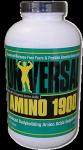 amino1900.gif