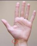 LeftHand.jpg
