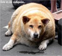 post_3_1118300303.jpg